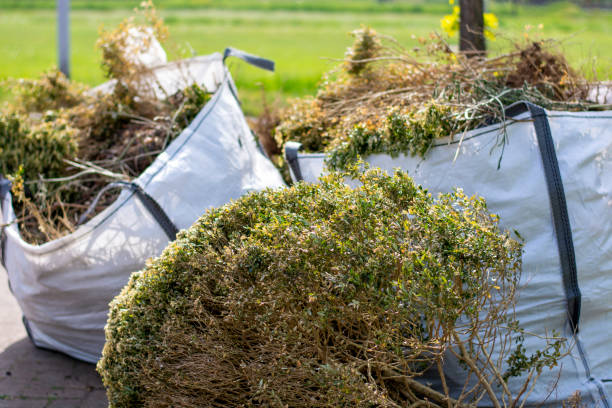 Reliable Greenville, KY Junk Removal Solutions